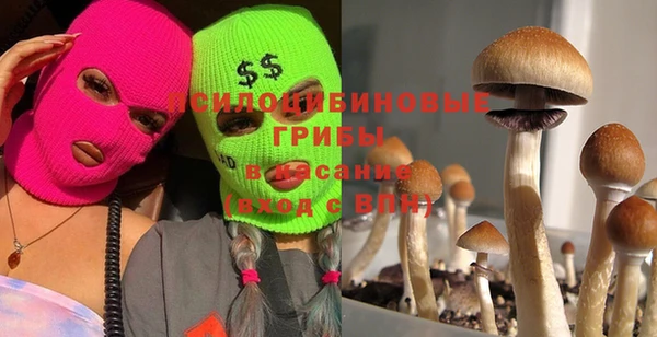 ECSTASY Нефтекумск