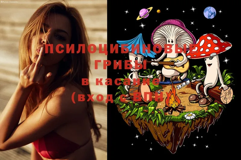 Псилоцибиновые грибы мицелий  Красавино 